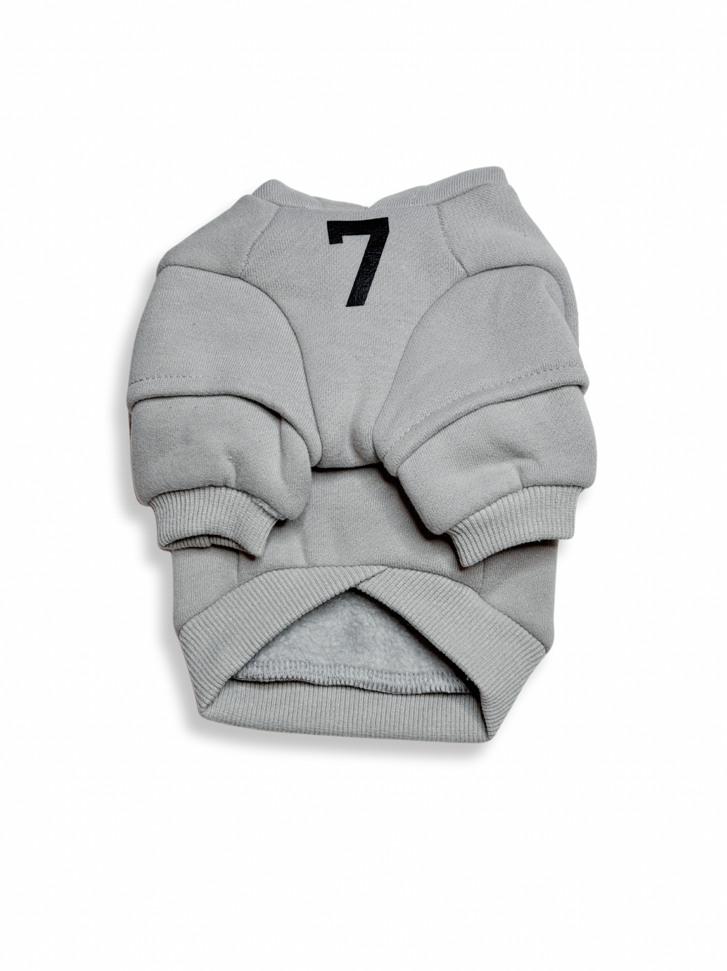 Fearless of Dog Hoodie
