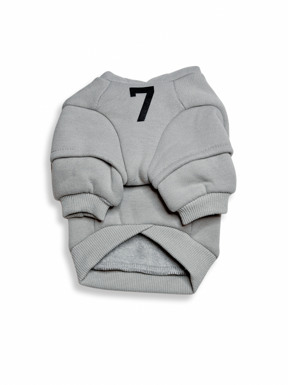 Fearless of Dog Hoodie