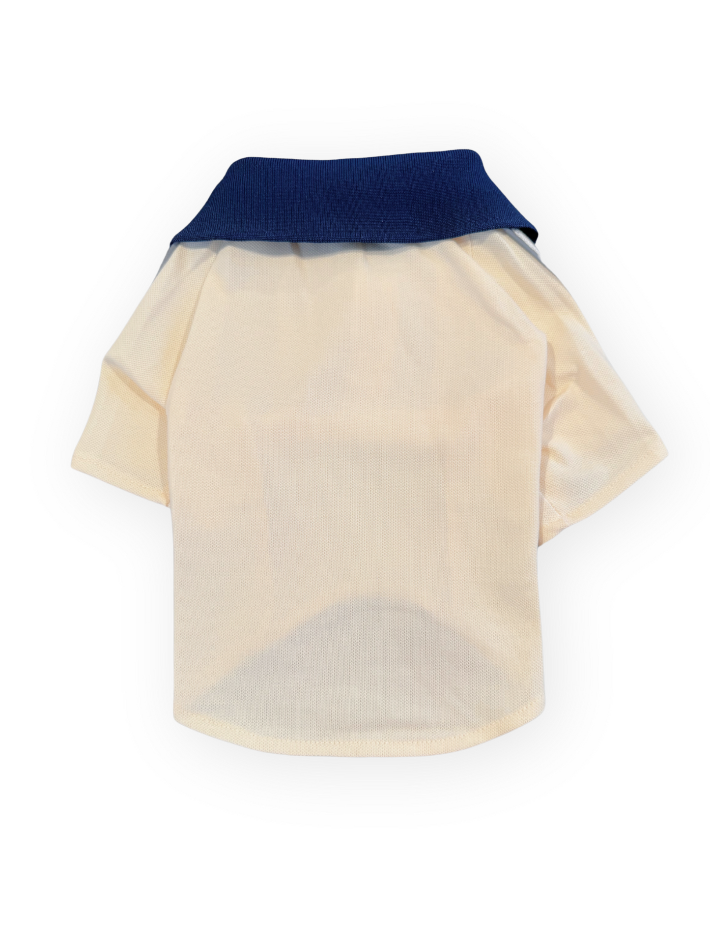 Grrrci Collar Top