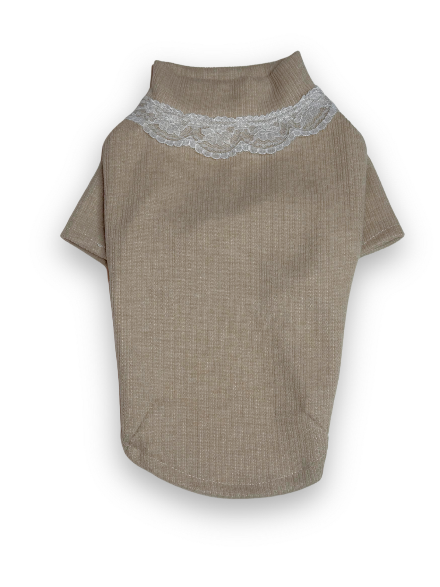 Charming Lace High Neck Top