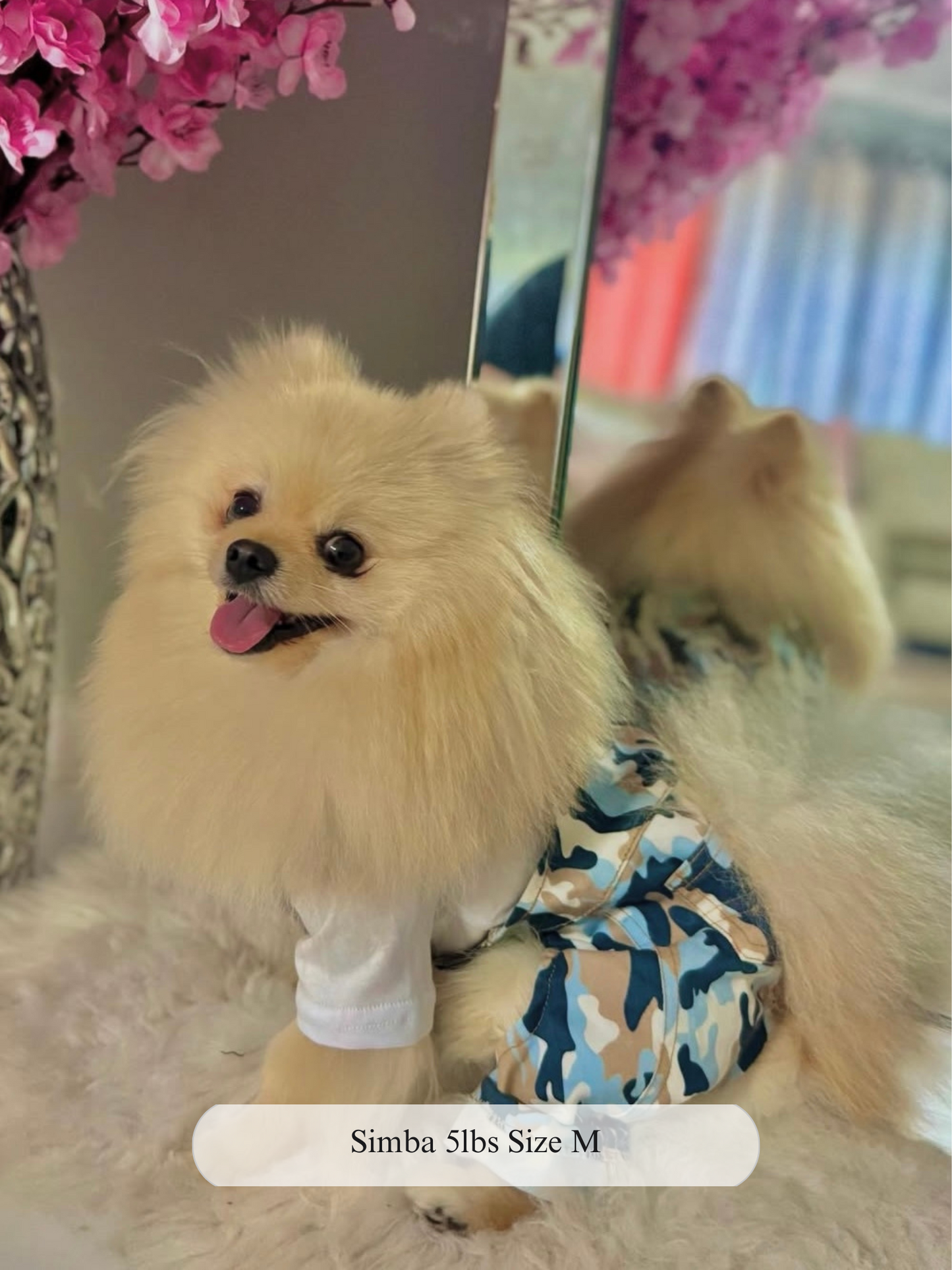 Camo Chic Dog Overalls