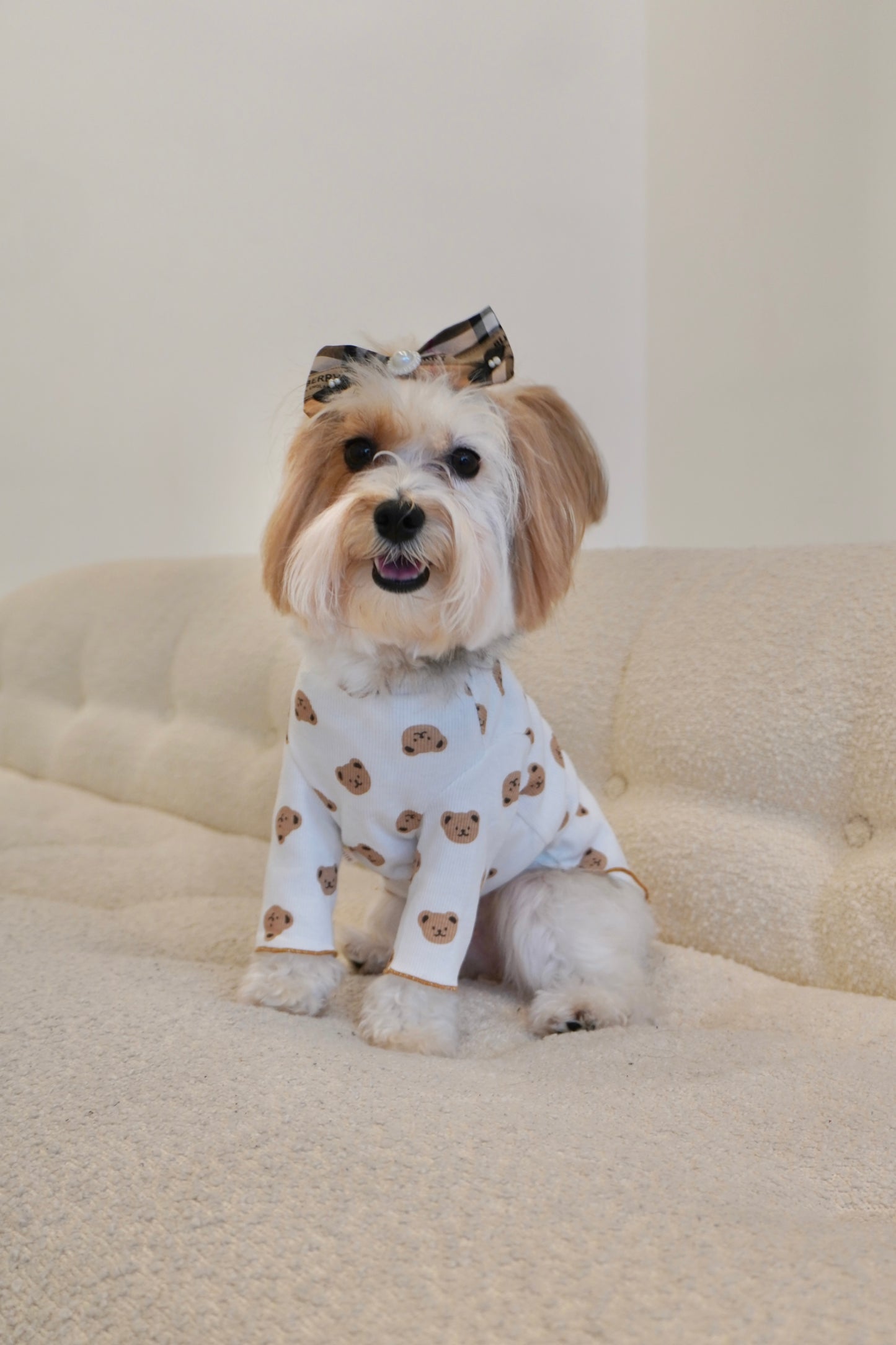 Cute dog in white bear print long sleeve shirt from The Pawster sitting on cream couch