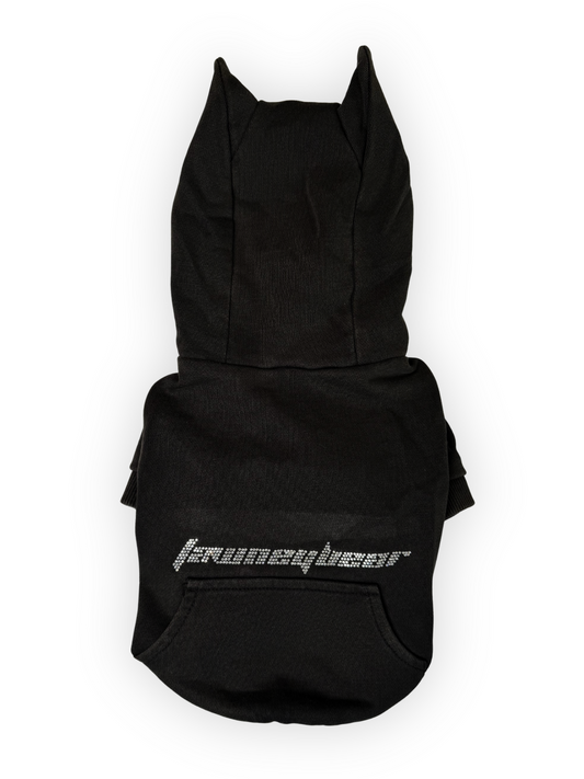 Front view of Pawster Tawney Bear rhinestone dog hoodie in black with horns