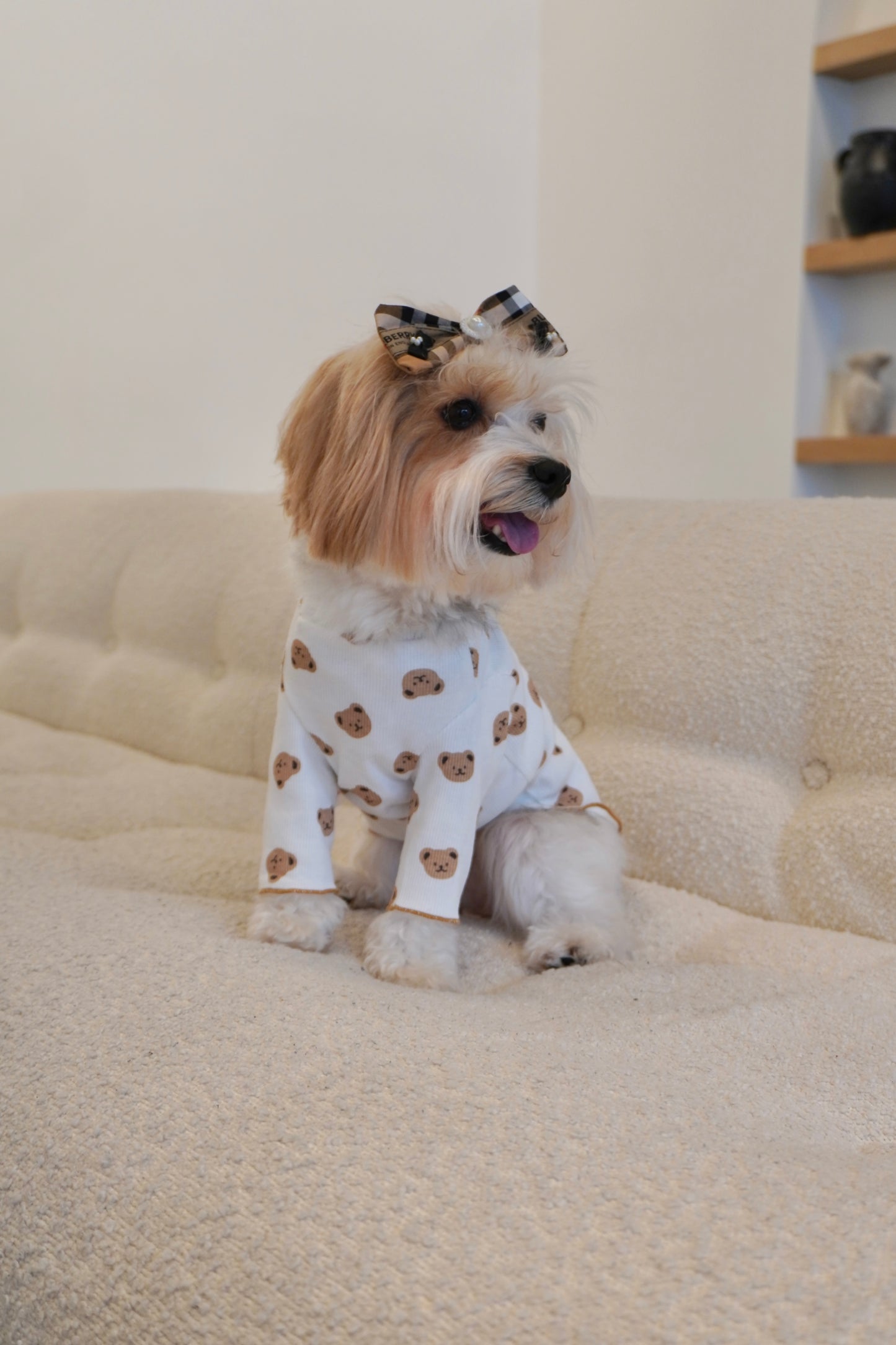 Side view of small dog Lucy wearing teddy bear print dog top by The Pawster