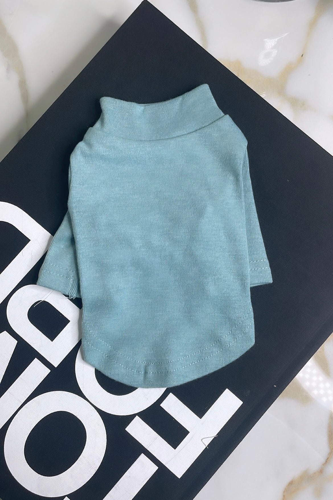 Basic Turtle Neck