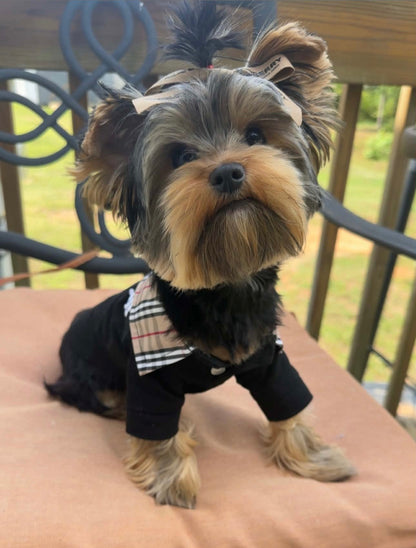 London Pup Bow