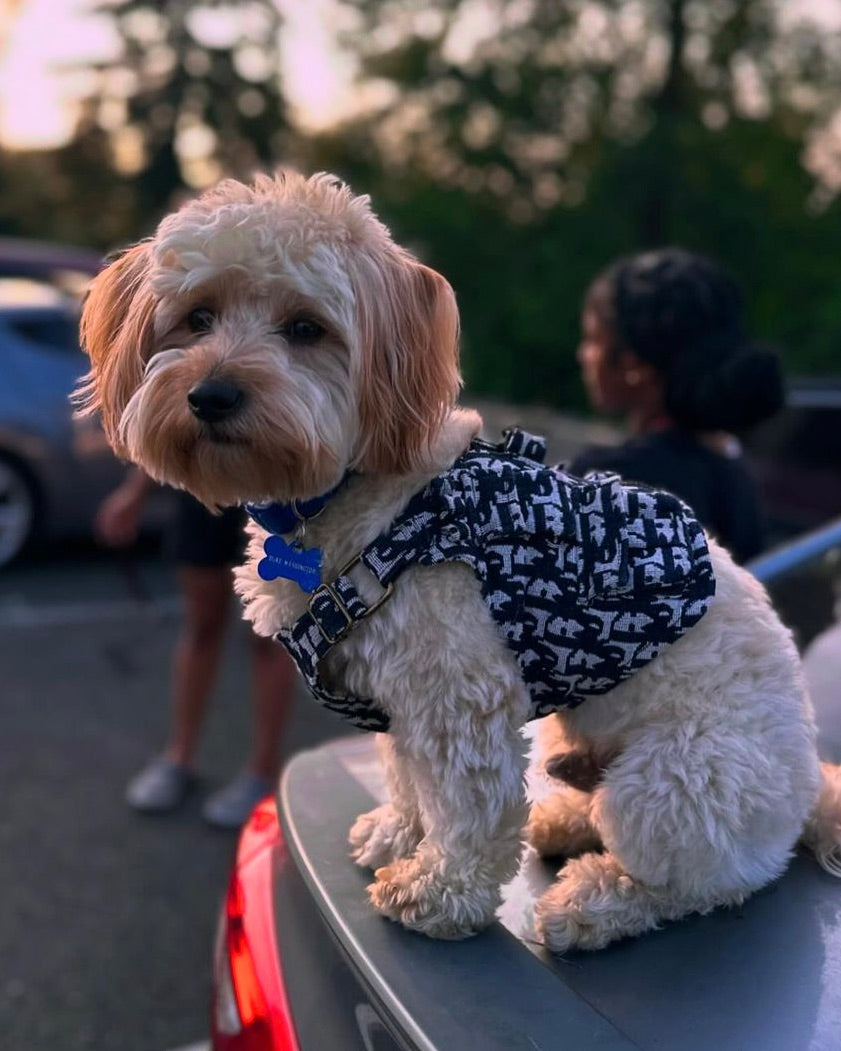 Dogior Fishermens Vest