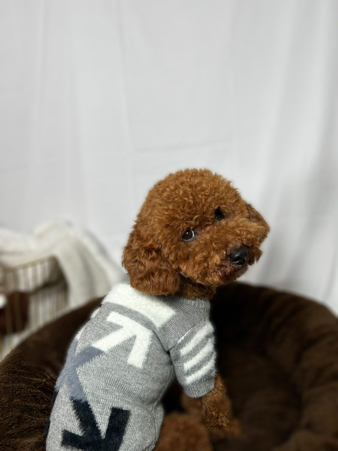 OFF-wag Sweater
