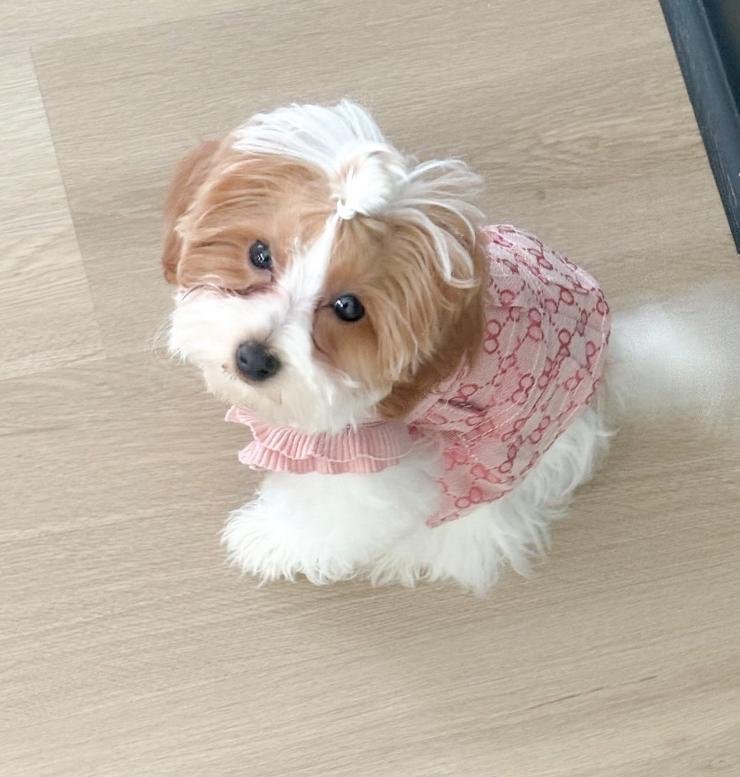 Pretty in Pink Frill Top