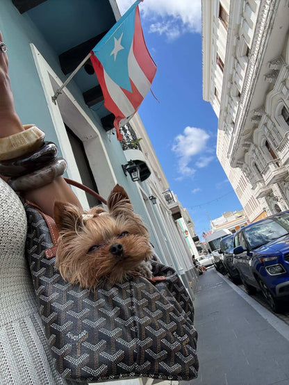 Go Bark Dog Carrier Bag (PreOrder)