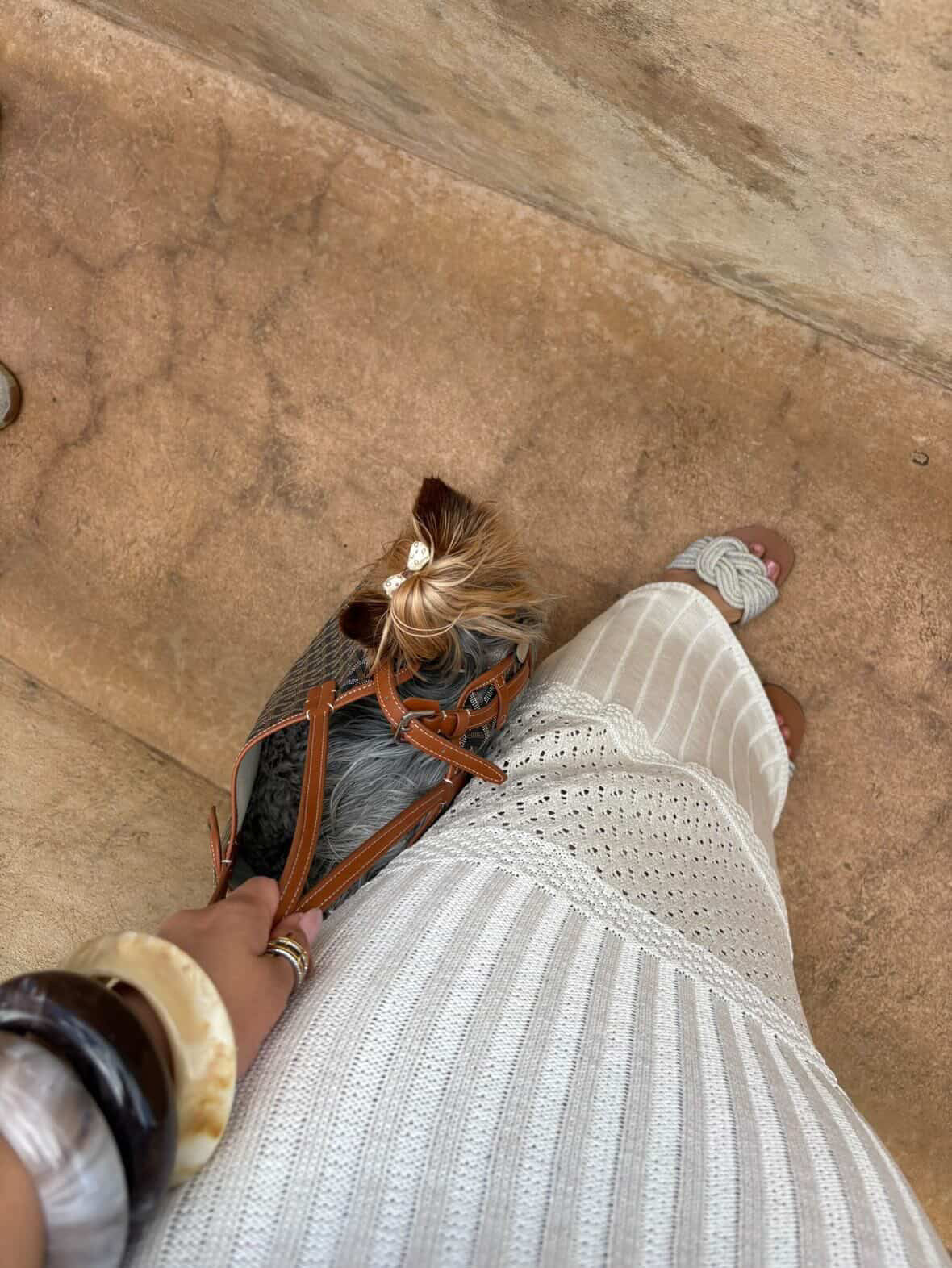 Go Bark Dog Carrier Bag (PreOrder)