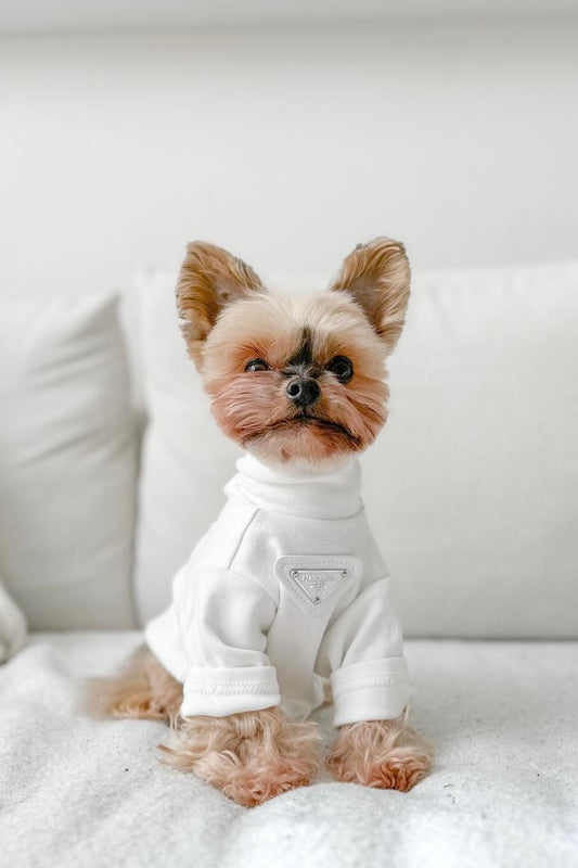 Furry Vuitton Overalls – The Pawster