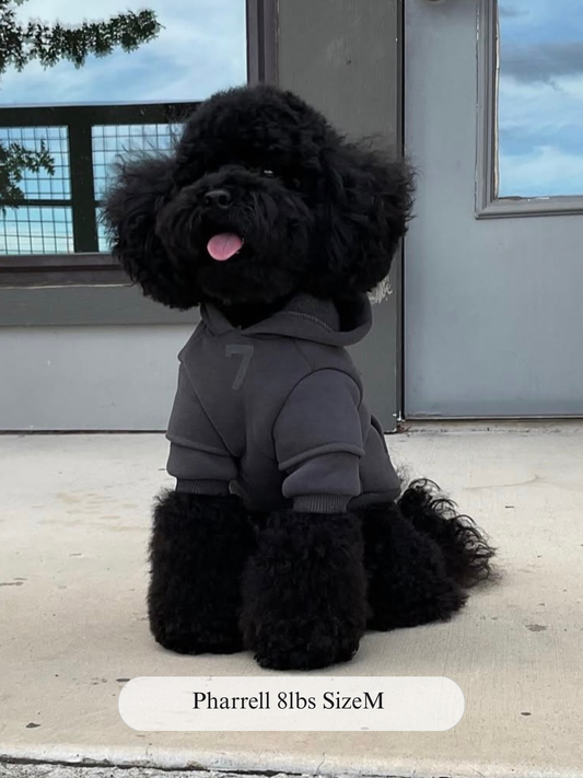 Fearless of Dog Hoodie