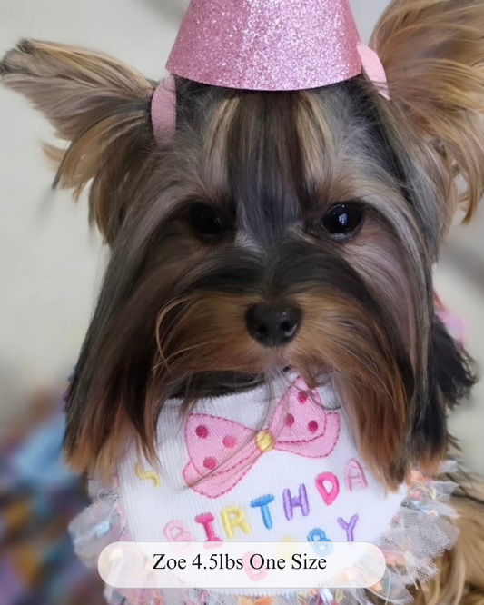 Birthday Baby Bib & Hat Set