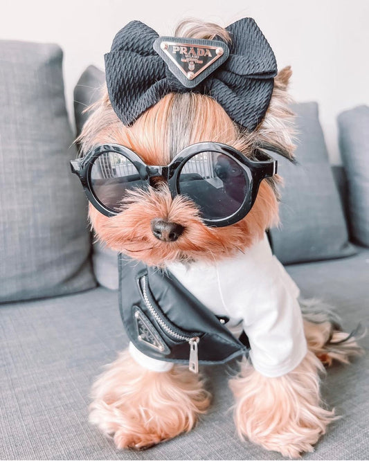 Pawda Mini Pup Bumbag