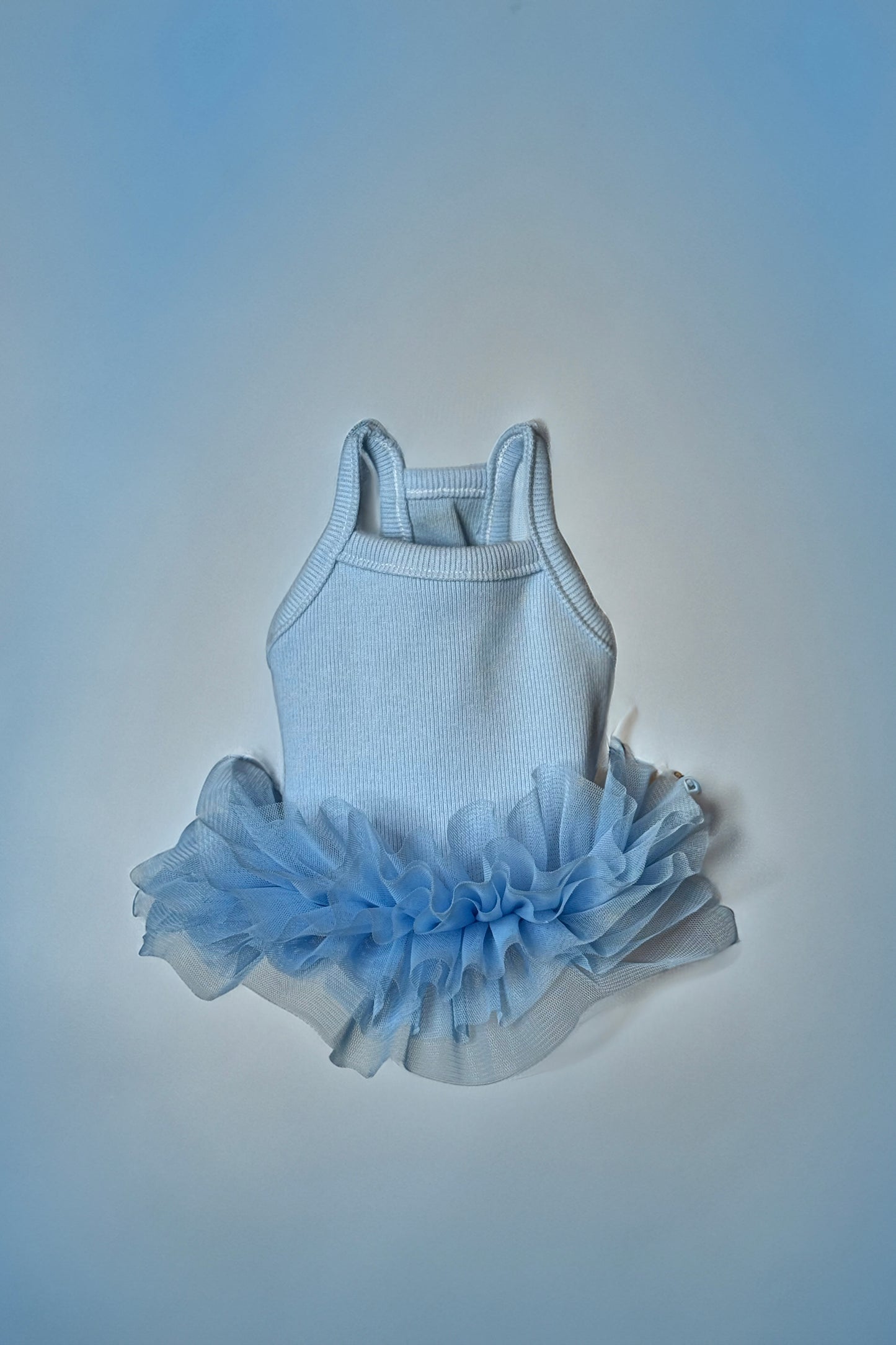 Waverly Tutu Dress