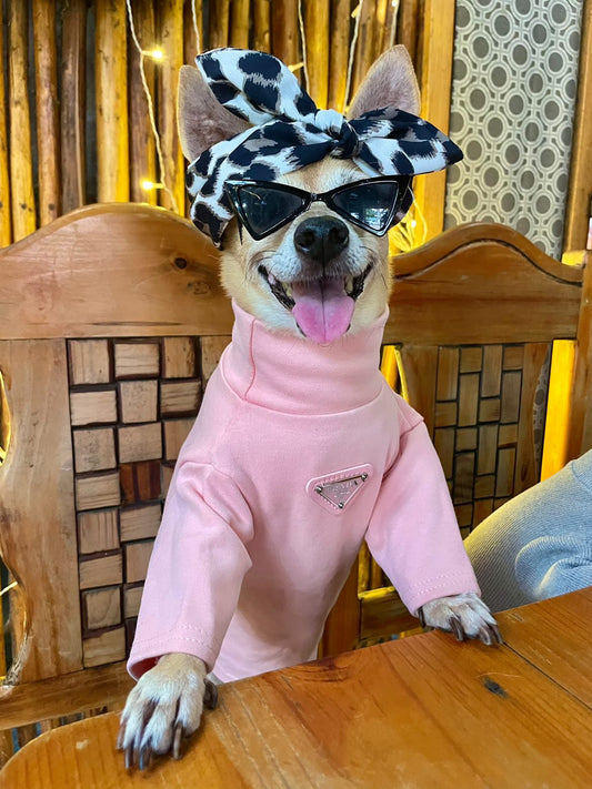 Pawda Lux Turtle Neck