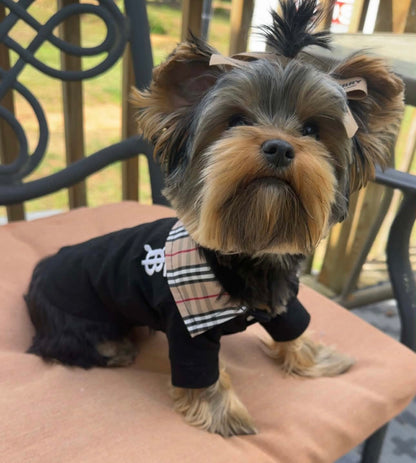 London Pup Bow