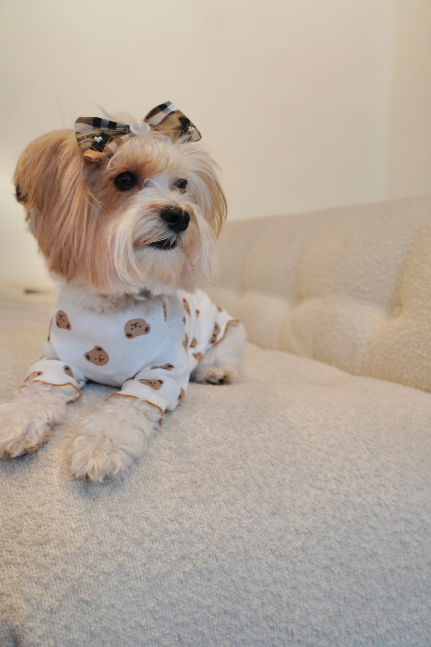Bear-y Chic Top