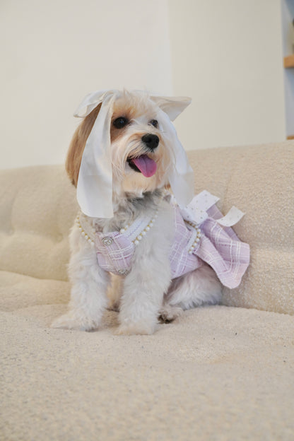 Spring Fling Queen Dress – Gossip Lilac Tweed Dog Dress