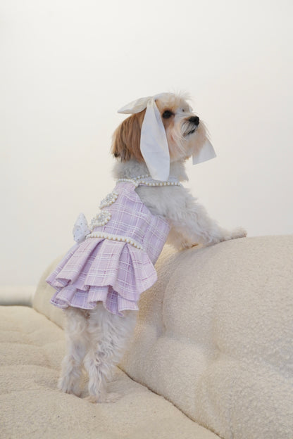 Spring Fling Queen Dress – Gossip Lilac Tweed Dog Dress