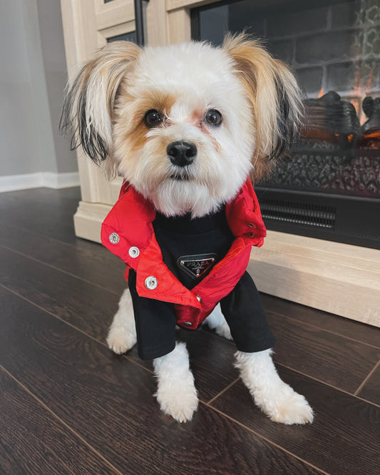 Pawda Puffer Vest