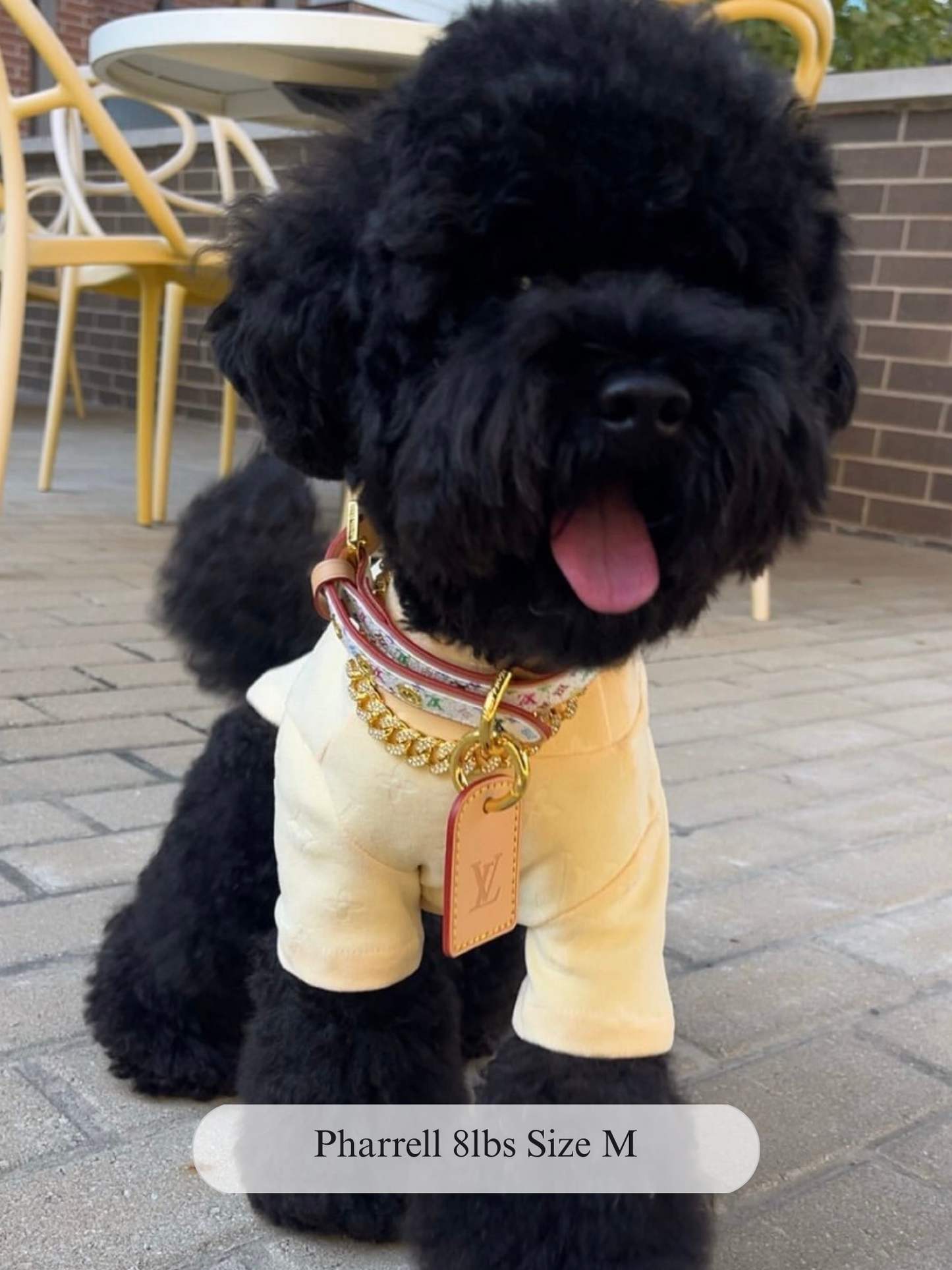 Furry Vuiton Turtleneck – Yellow & Peach Velour Dog Sweater