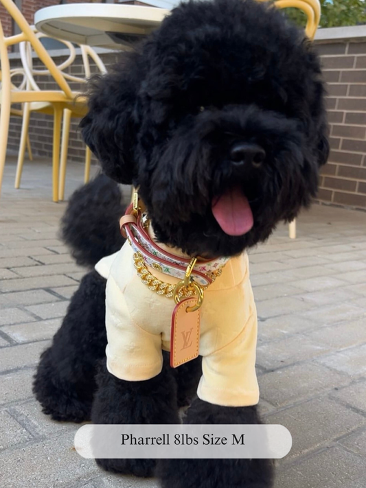 Furry Vuiton Turtleneck – Yellow & Peach Velour Dog Sweater