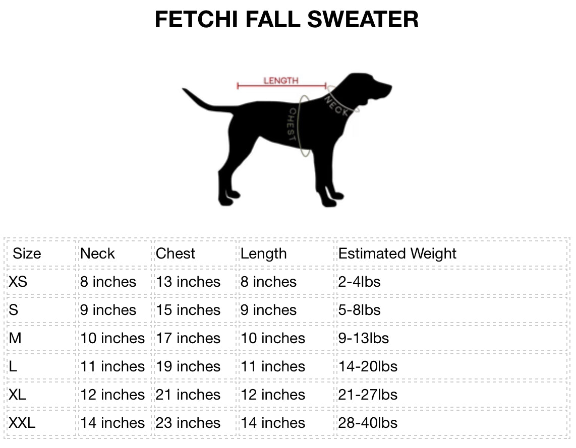 Fetchi Fall Sweater