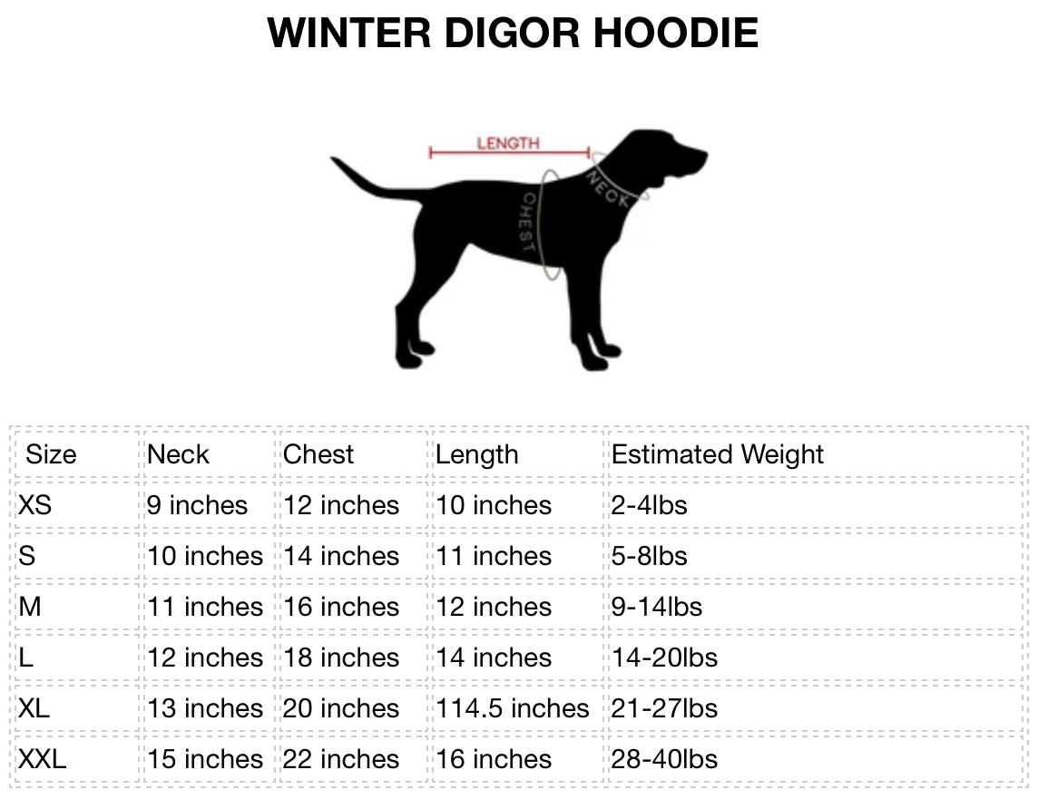 Winter Digor Hoodie