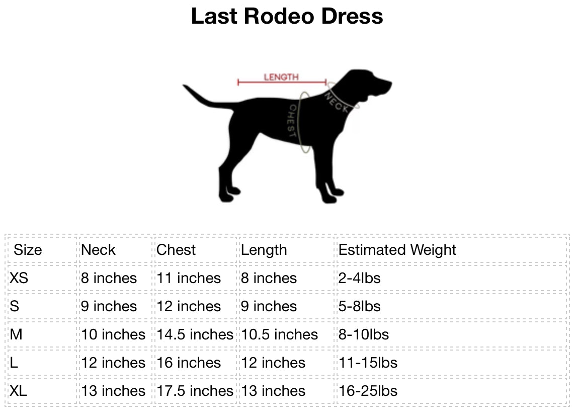Last Rodeo Dress