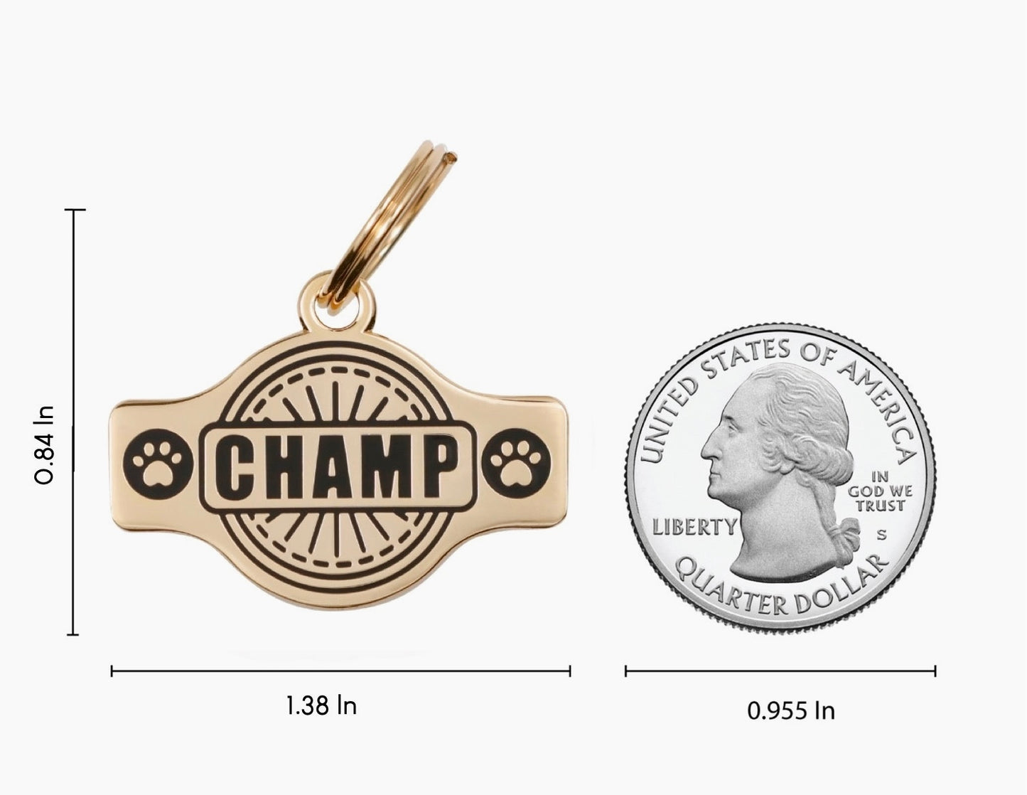 Champ Pet ID Tag