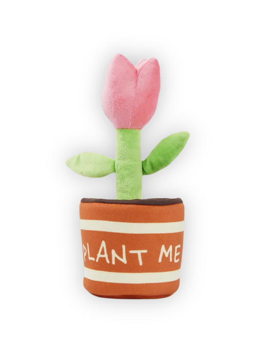 Bloom Buddy Tulip Toy
