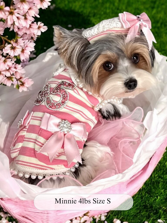 Pink Belle Dress Set