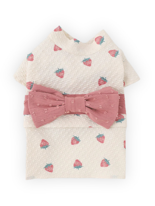 Front view of strawberry-print dog kimono dress with dusty rose bow