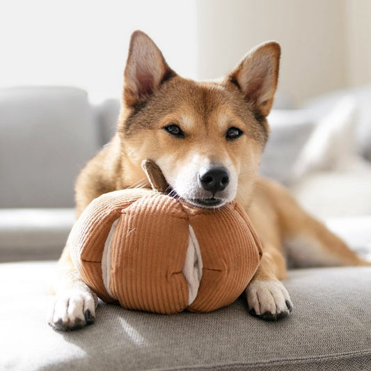 Enrichment Pumpkin Dog Toy