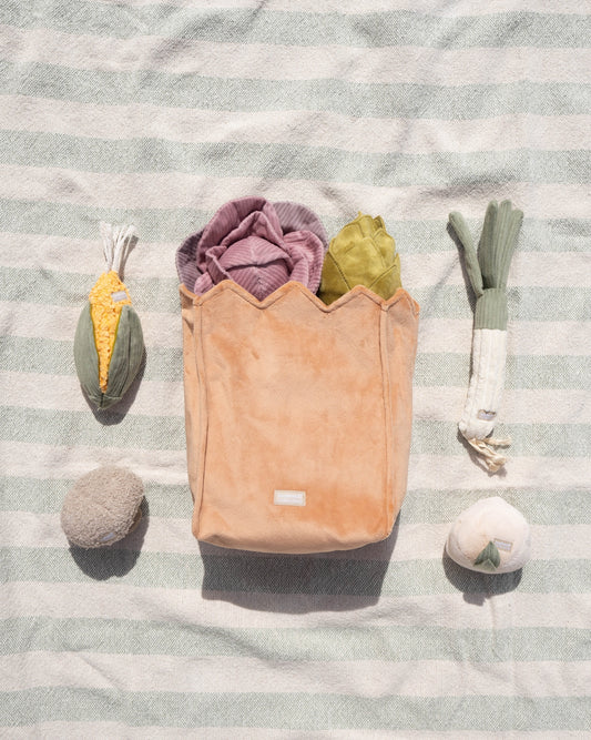 Farmer’s Market Dog Toy Set