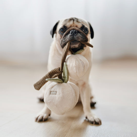 Snuffle Peach Dog Toy