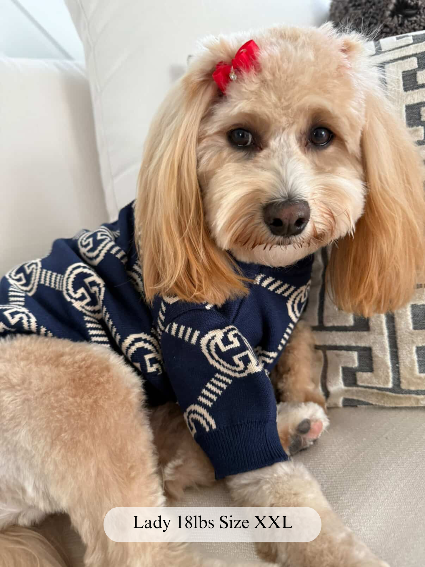 Bleu Royale Grrrci Knit Sweater