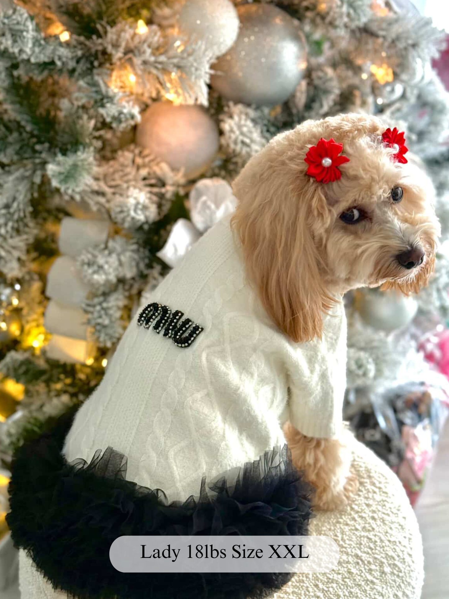 Tutu Chic Sweater Dress