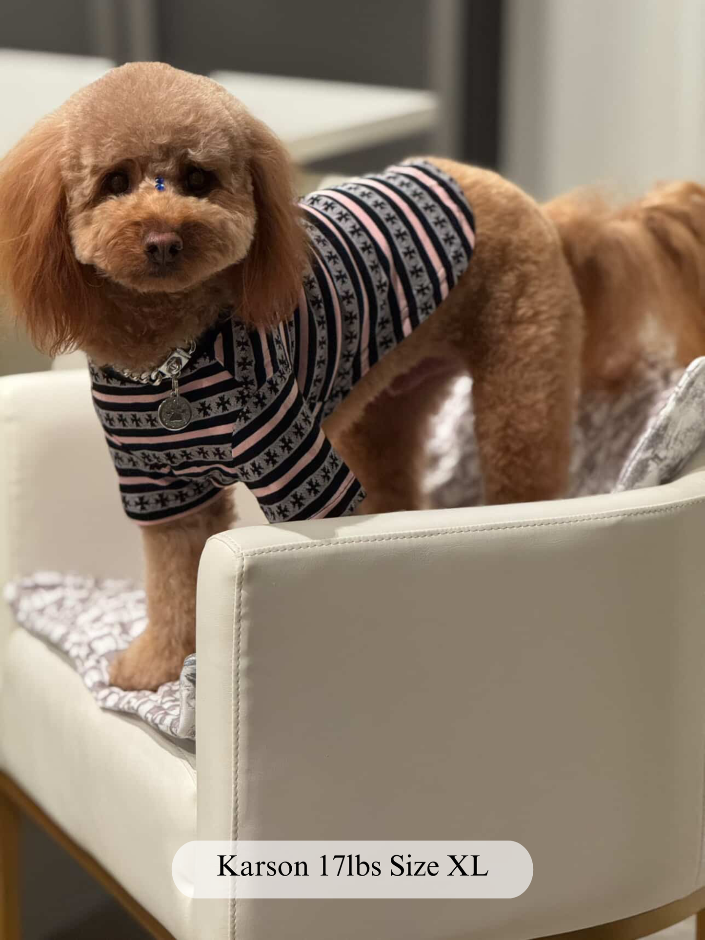 Paws of Hearts High-Neck Top