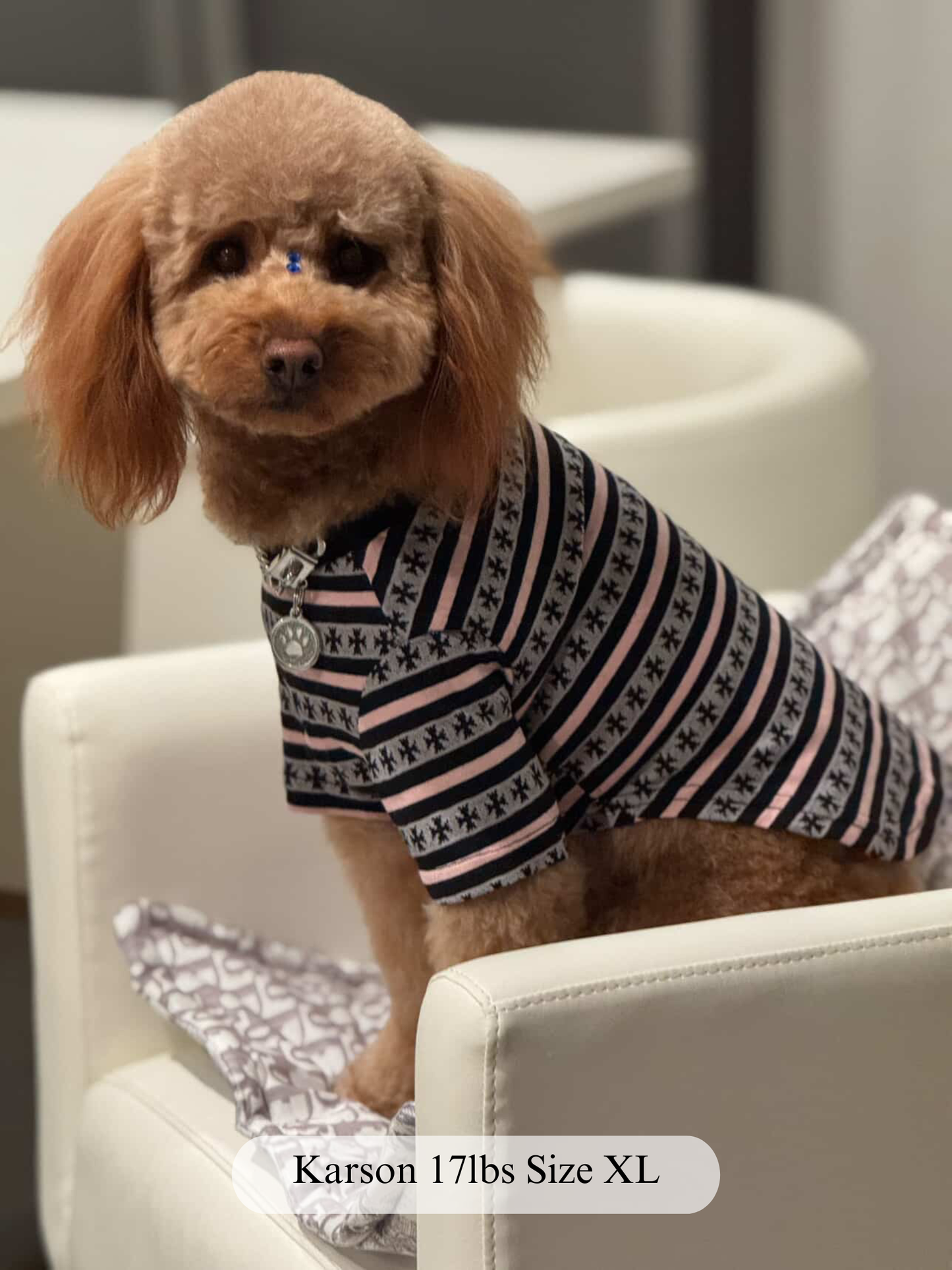 Paws of Hearts High-Neck Top