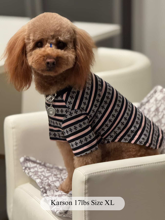 Paws of Hearts High-Neck Top