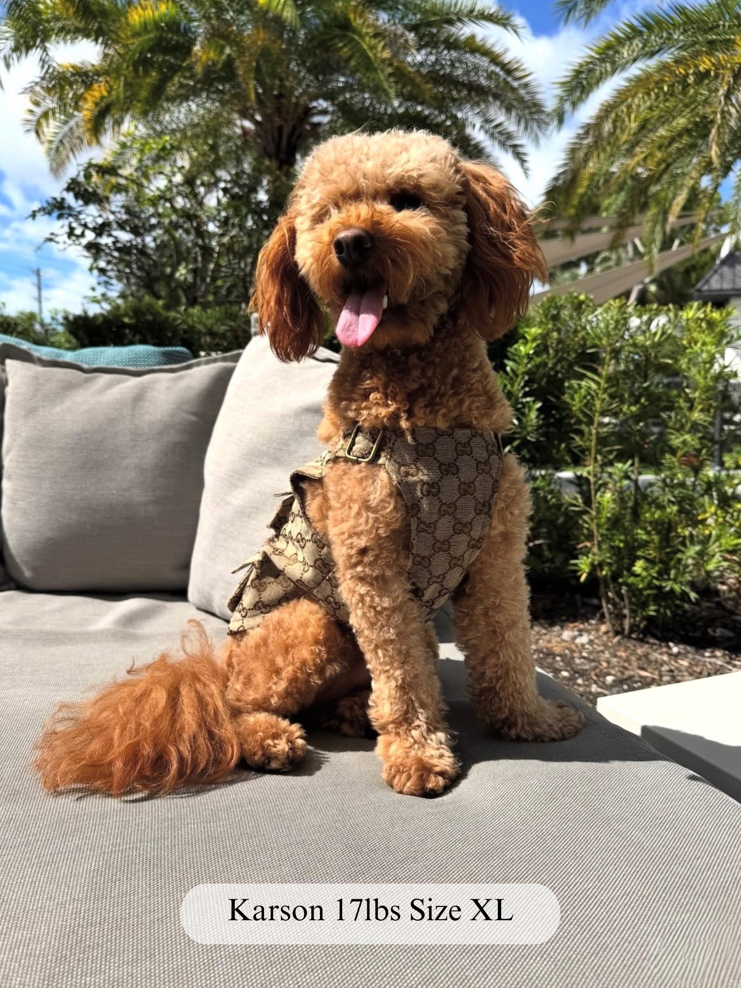 Grrrci Fishermans Vest