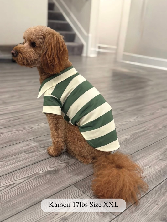 Country Club Polo Top