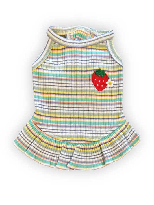 Small dog wearing pink and white striped halter dress with embroidered strawberry and ruffle trim