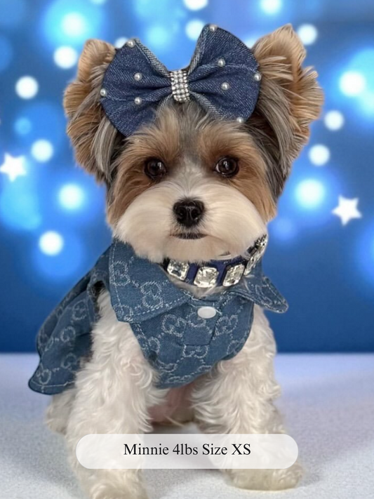 Sweetheart Buckle Dress – Chic Denim Dog Dress with Pearl Details