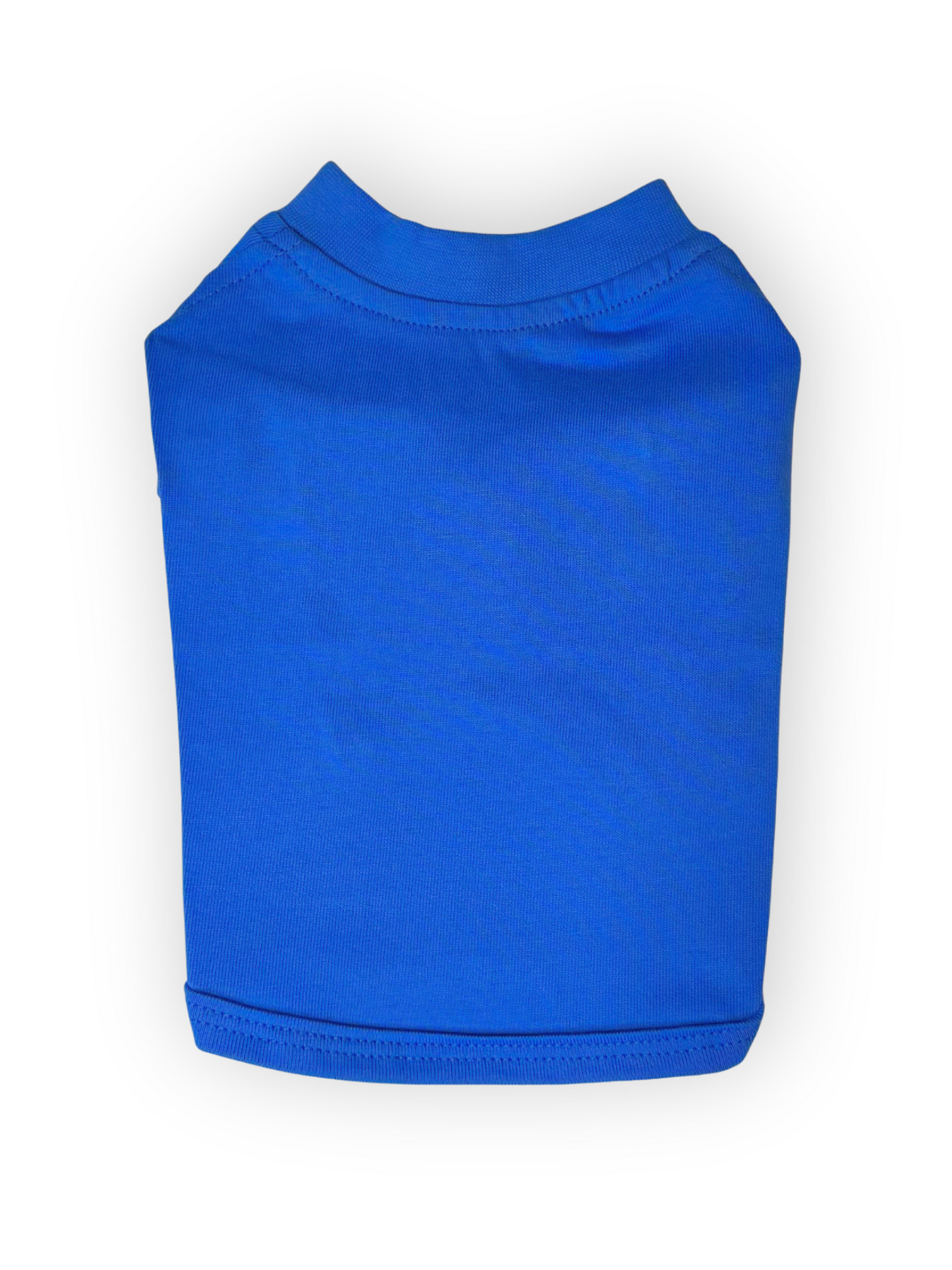 The Pawster Basics dodger blue dog t-shirt – soft, stretchy short sleeve shirt.