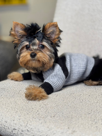 Yorkshire Terrier puppy wearing a gray and black ribbed knit dog sweater with long sleeves and a high neckline, lying on a cream chair.