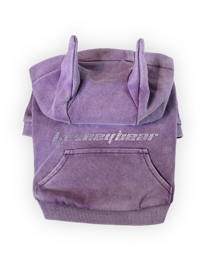 Dog wearing Pawster Tawney Bear rhinestone hoodie in purple with horns